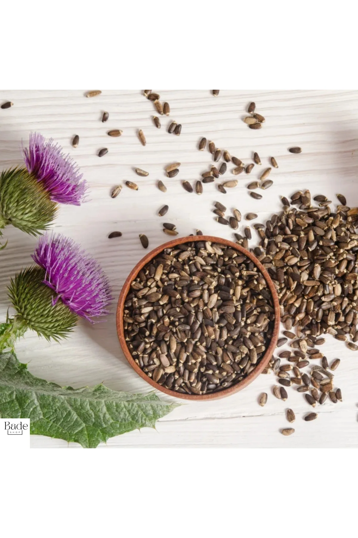 100 gr - Deve Dikeni Tohumu - Milk Thistle Seeds - Görsel 2