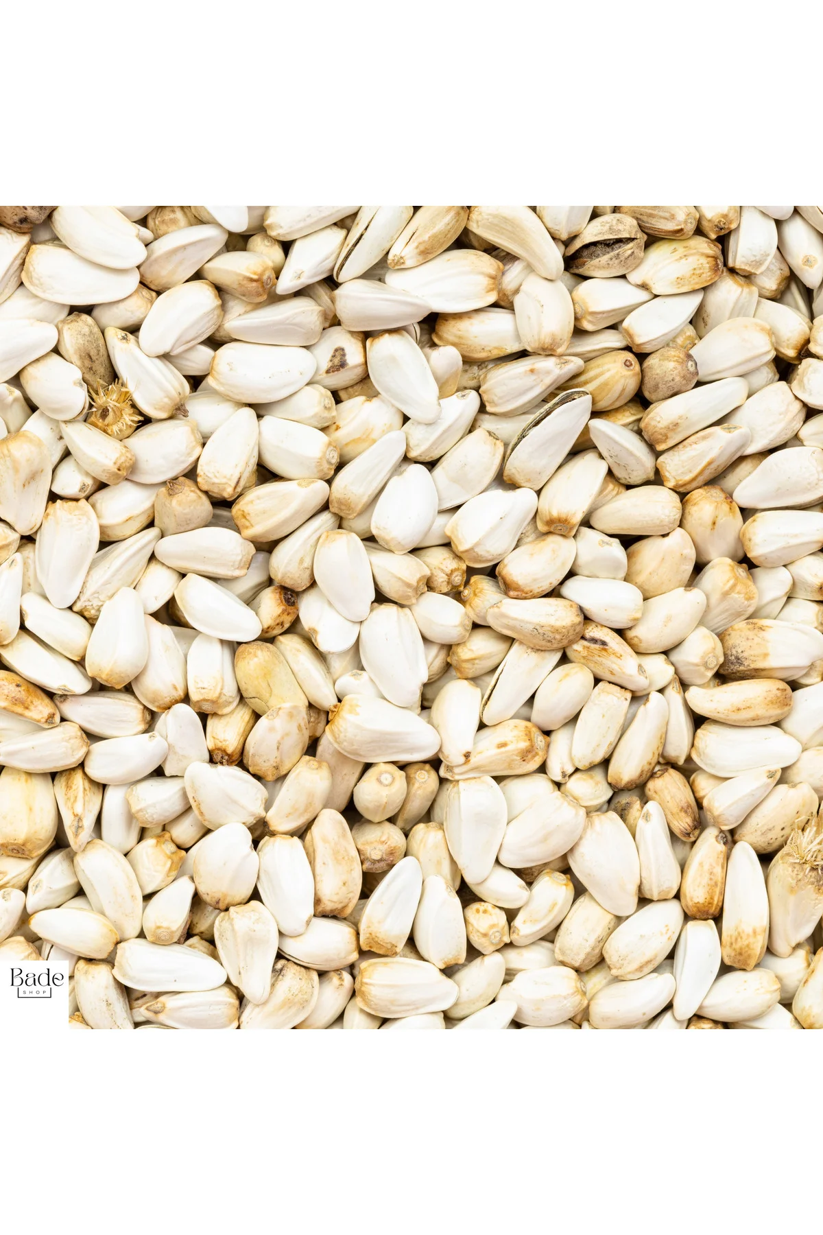 100 Gram - Omega 6 Kaynağı Aspir Tohumu - (Tavuk - Güvercin ve Papağanlarınız İçin) 100 Gram - Omega 6 Kaynağı Aspir Tohumu - (Tavuk - Güvercin ve Papağanlarınız İçin)