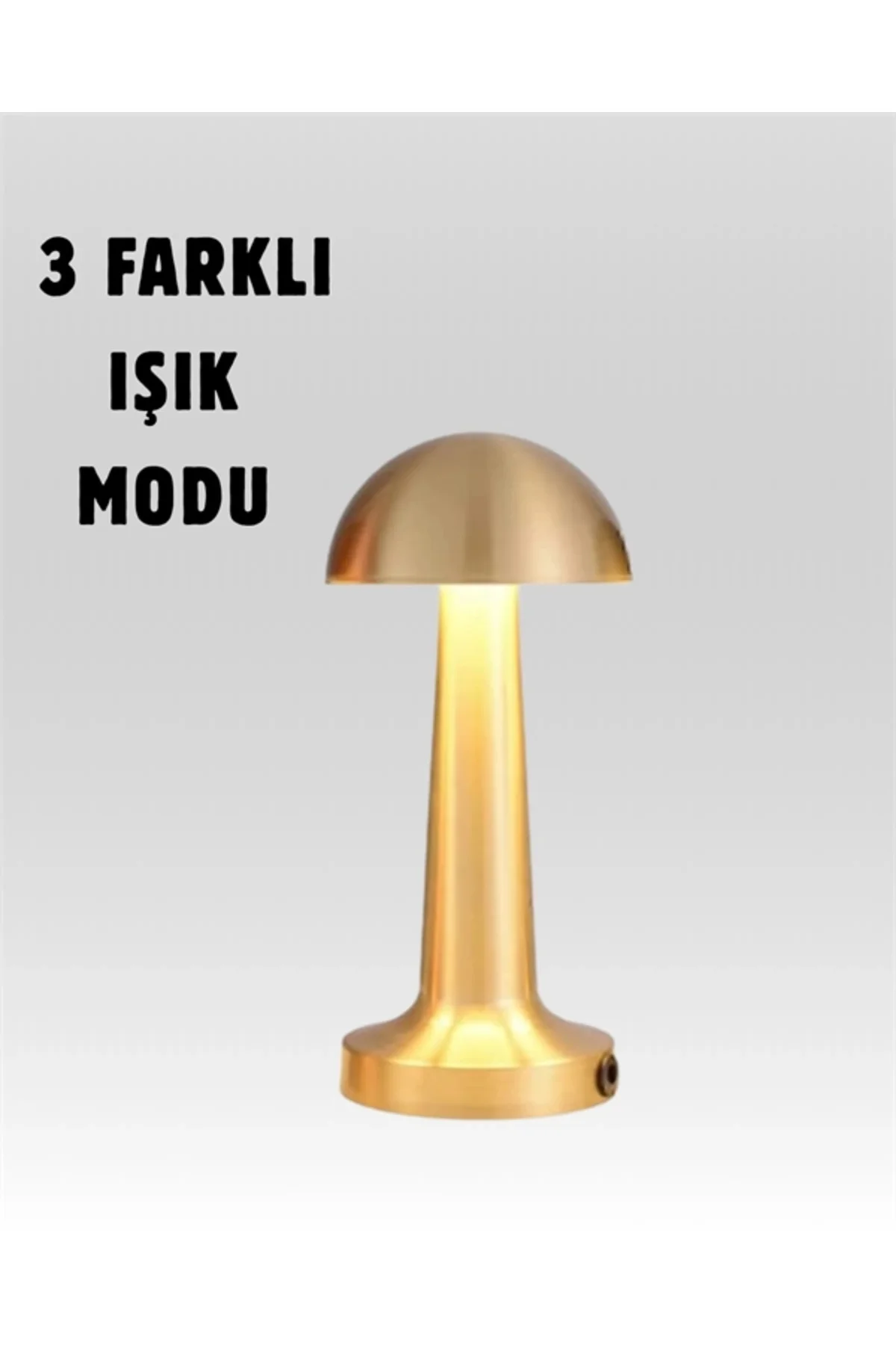 %100 Kademeli Ayarlanabilir Işık – USB Şarjlı Masa Lambası ( Lisi