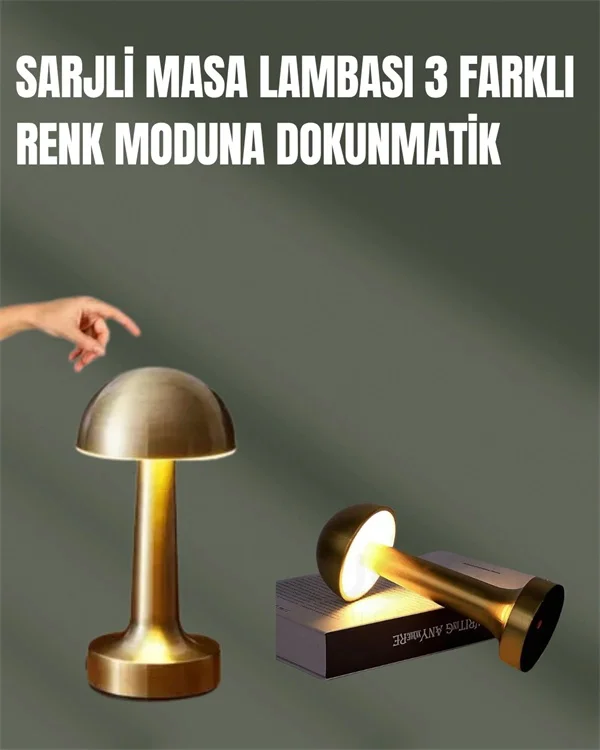 %100 Kademeli Ayarlanabilir Işık Usb Şarjlı Masa Lambası Lisinya Diğer