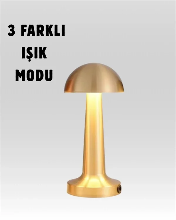 %100 Kademeli Ayarlanabilir Işık – USB Şarjlı Masa Lambası
