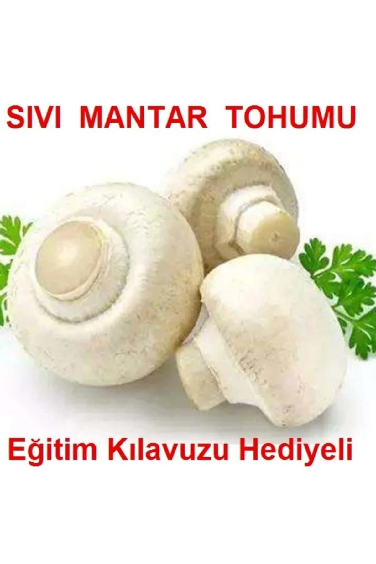 100 Ml Beyaz Şapkalı Kültür Mantarı Miseli (mantar Tohumu) + Hedi