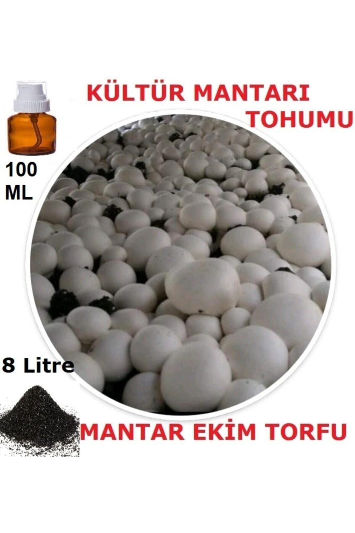 100 Ml Kültür Mantarı Tohumu + 8 Lt Mantar Ekim Torfu (başka Bir
