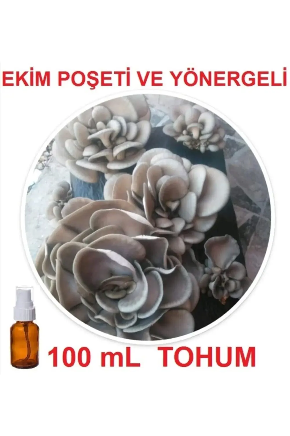 100 Ml Sıvı Istiridye Kayın Kavak Mantarı Tohumu + Ekim Poşeti +