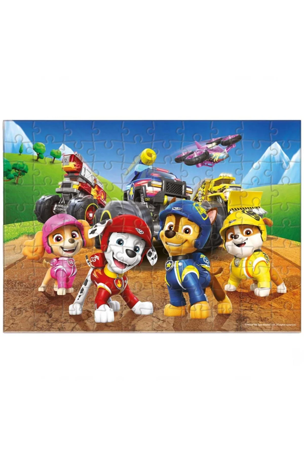 100 Parça Puzzle