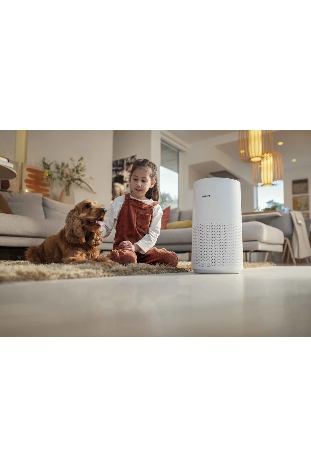 1000 Ac1711/10 Air Purifier Hava Temizleme Cihazı - Görsel 6