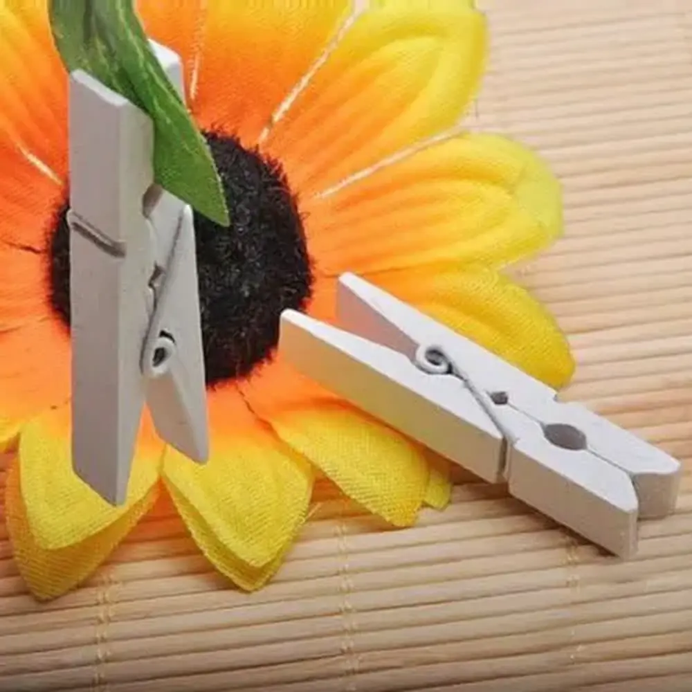 1000 Adet Beyaz Ahşap Mandal Seti 2.5 cm