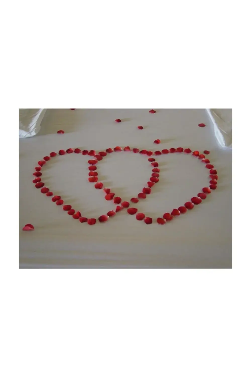 1000 Adet Gül Yaprağı Yapay Kırmızı Gül Yaprak