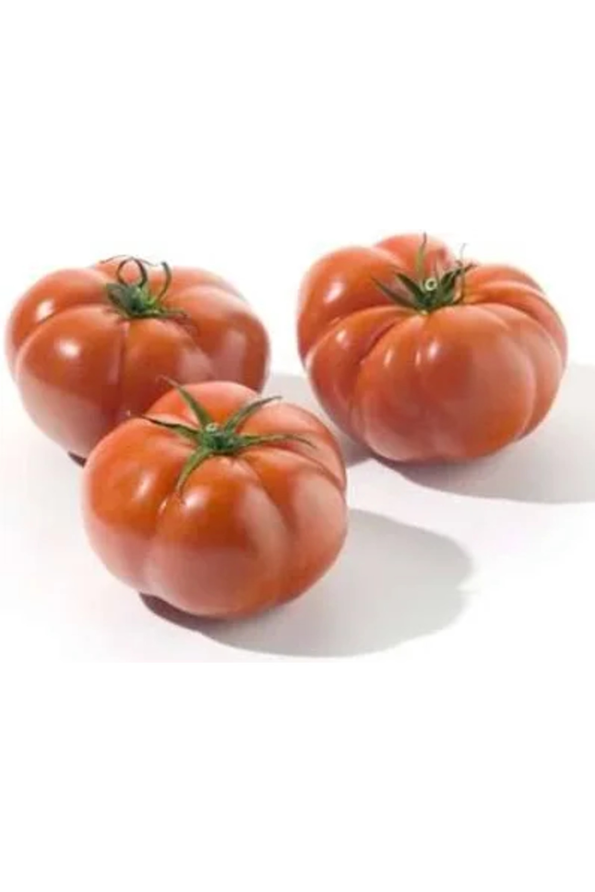 10.000 Adet Köylü Domatesi Tohumu