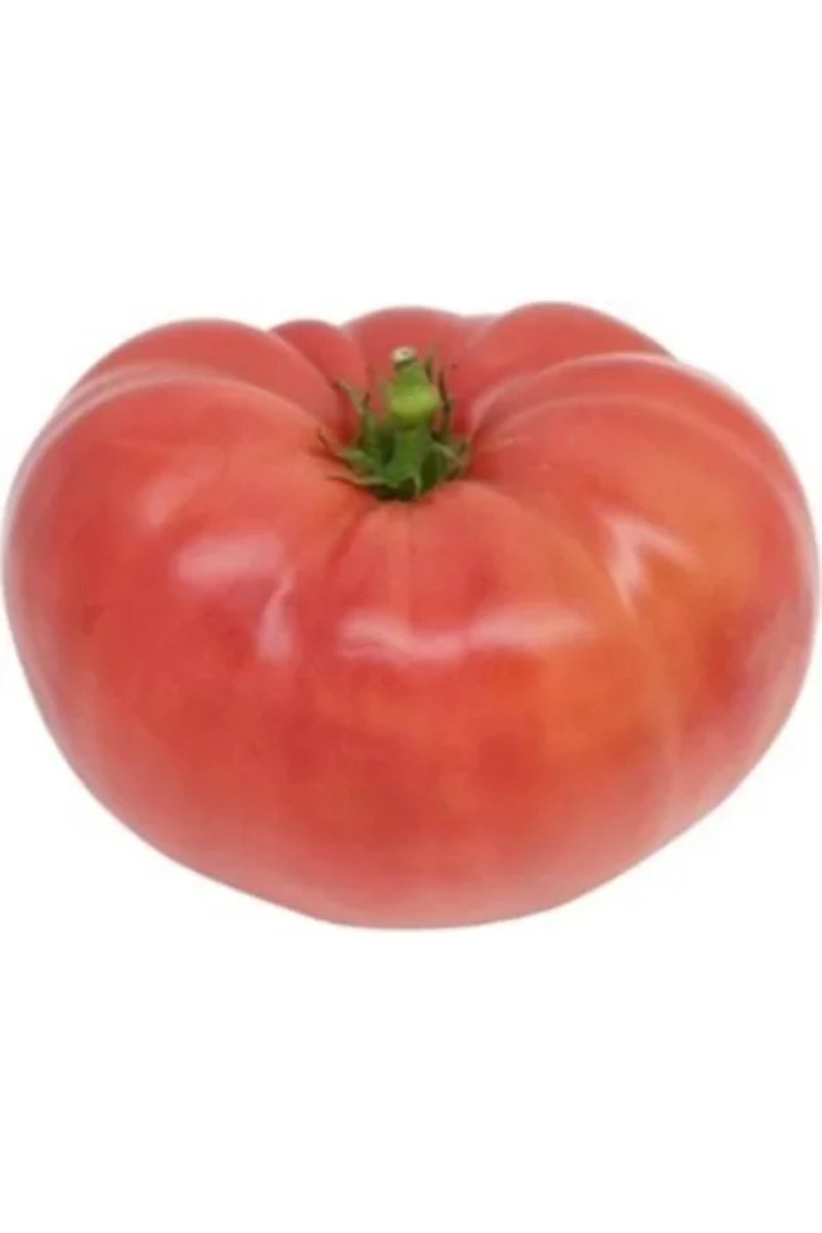 10.000 Adet Köylü Domatesi Tohumu