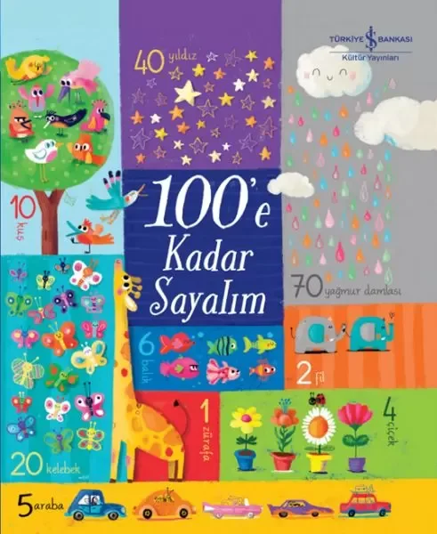 100’e Kadar Sayalım Fiyatı, Yorumları ve Özellikleri