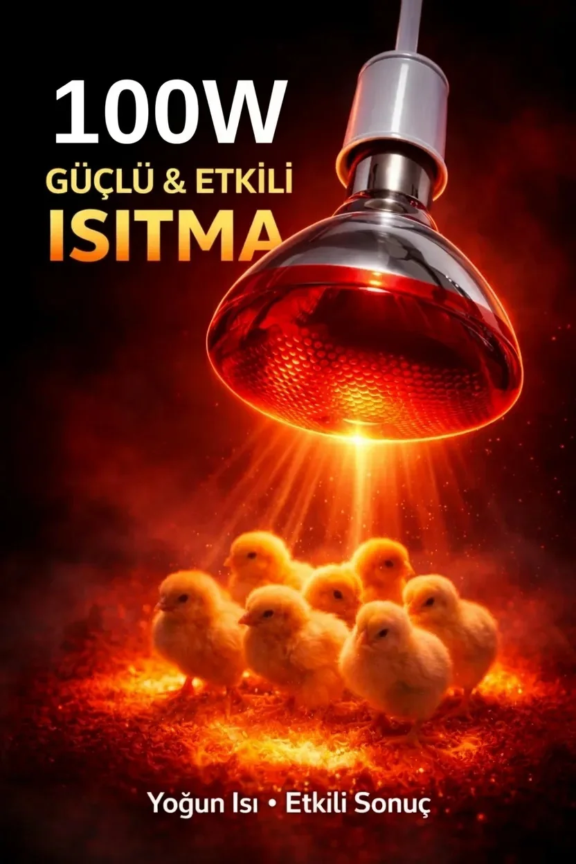 100w Isıtıcı Ampul Kırmızı Isı Lambası Civciv Kümes Kuluçka E27 Duy Isıtma Ampulü Lisinya 100w Isıtıcı Ampul Kırmızı Isı Lambası Civciv Kümes Kuluçka E27 Duy Isıtma Ampulü Lisinya