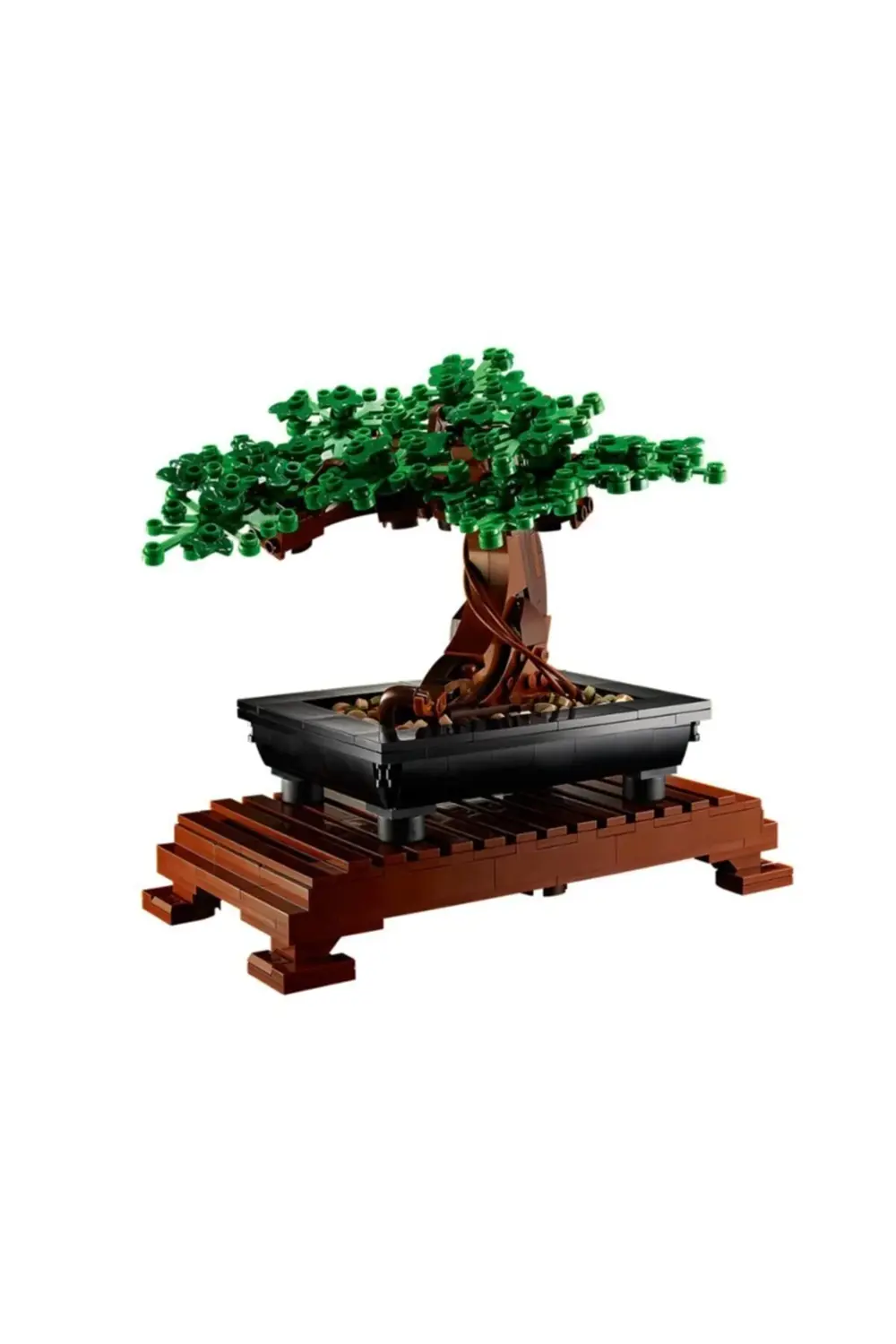 10281  Botanical Collection Bonsai Ağacı