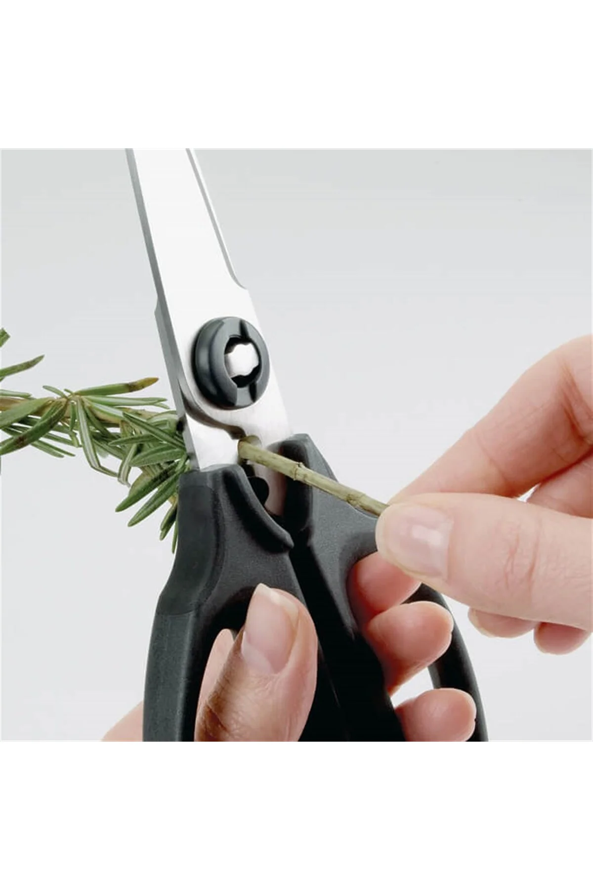 1072121 Gg Mutfak Ve Ot Makası