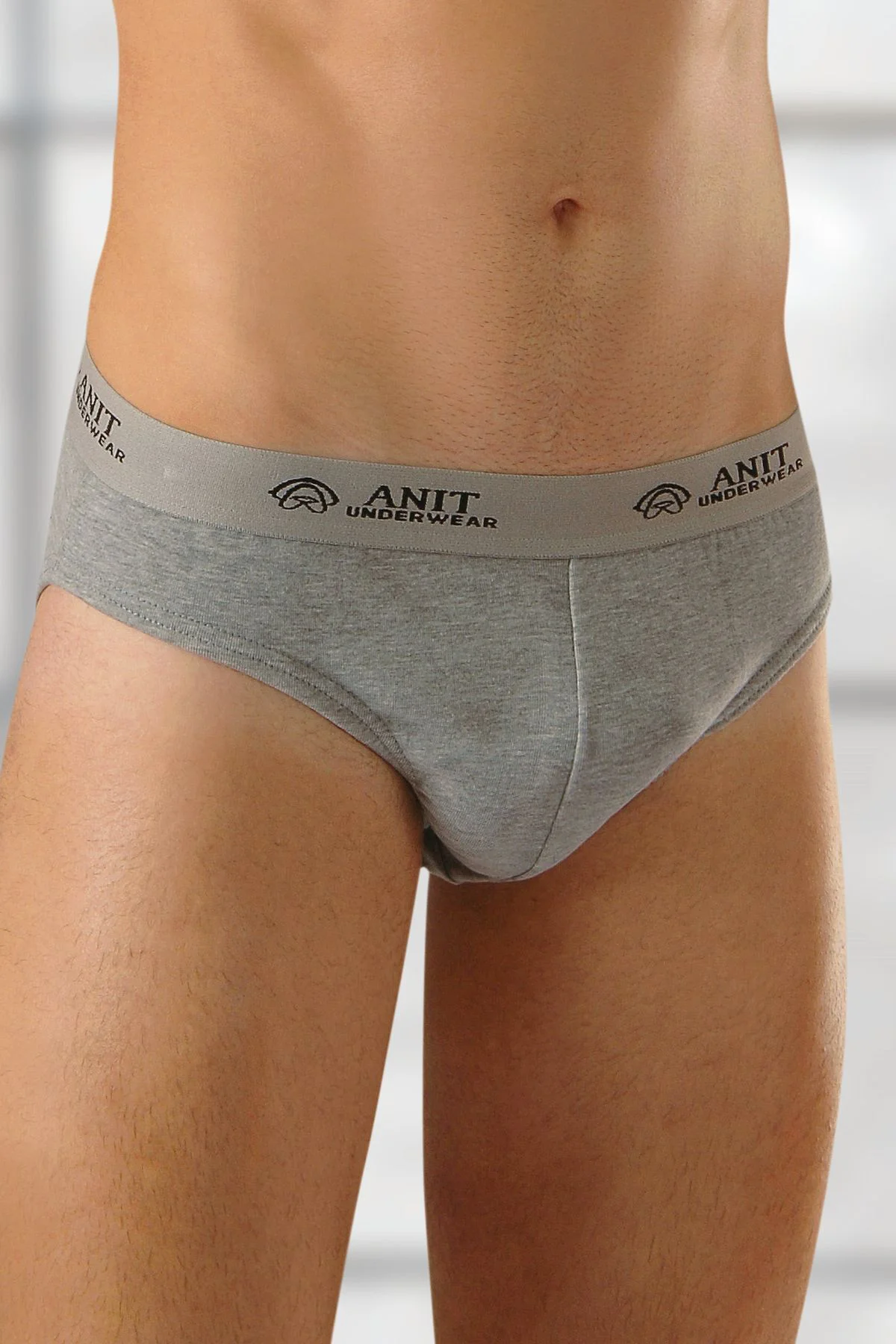 1116 Gri 3 Adet Ribana Pamuklu Erkek Slip Külot