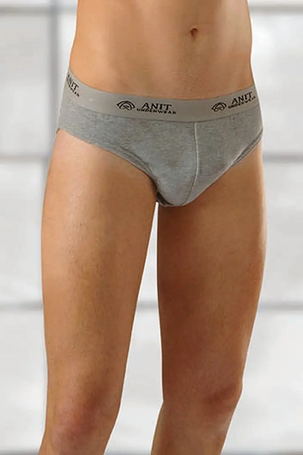 1116 Gri 3 Adet Ribana Pamuklu Erkek Slip Külot
