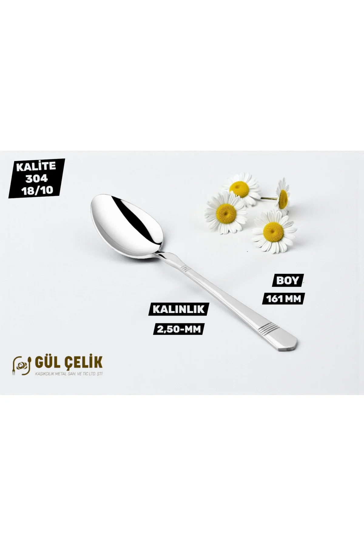 12 Kişilik Tatlı Kaşığı Alvina Model 304 Kalite 18/10 Paslanmaz Ç