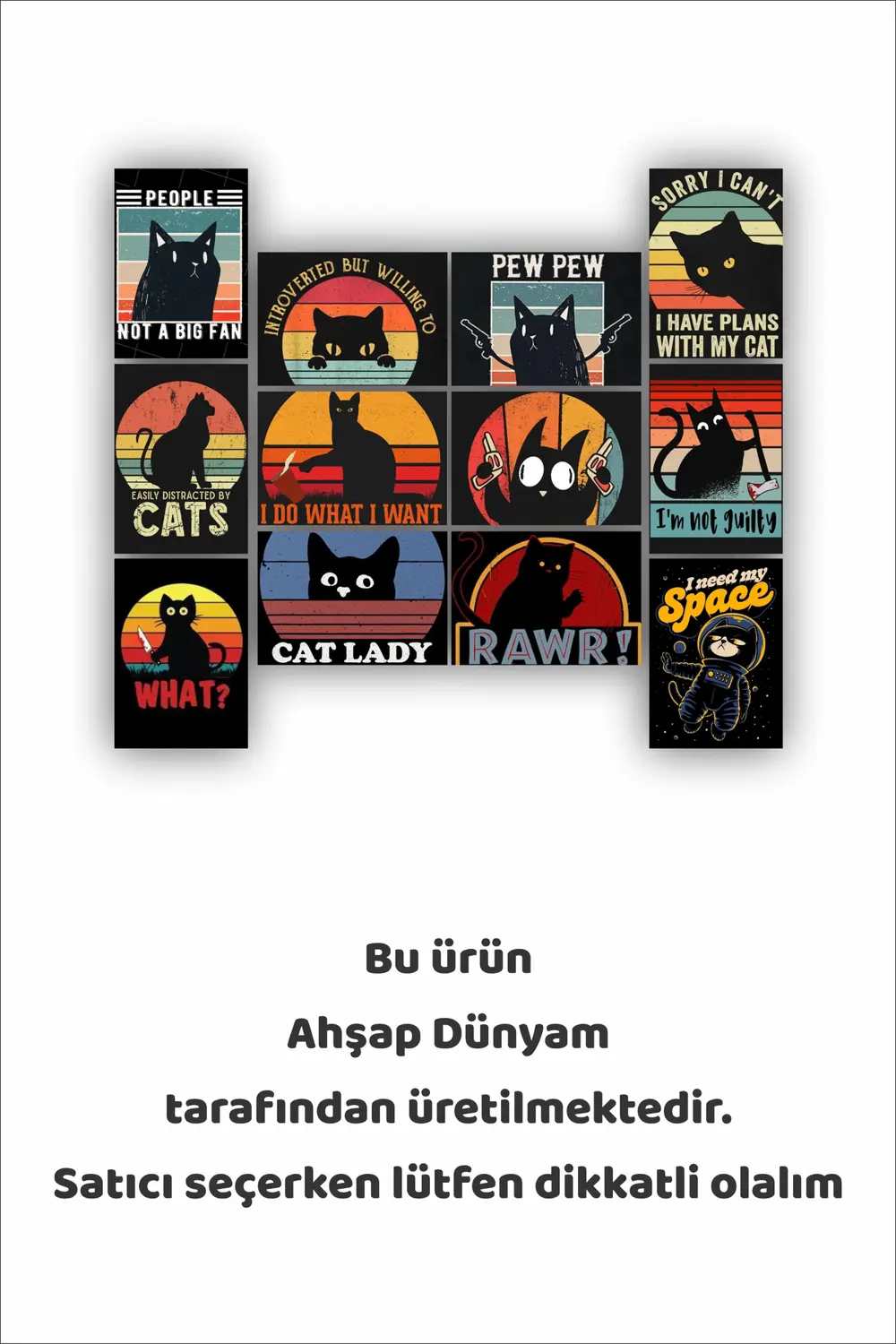 12 parça Kedi Resimleri Çerçeve Görünümlü Mdf tablo Duvar Süsü He