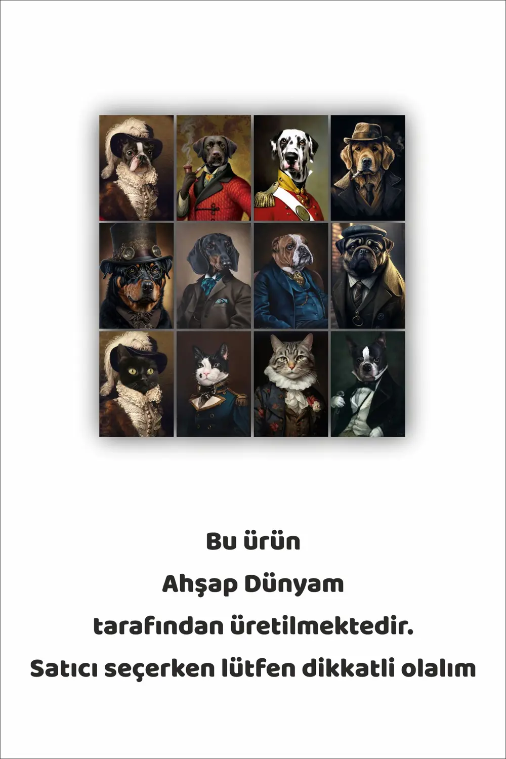12 parça Kedi ve Köpek Resimleri Çerçeve Görünümlü Mdf tablo Duva