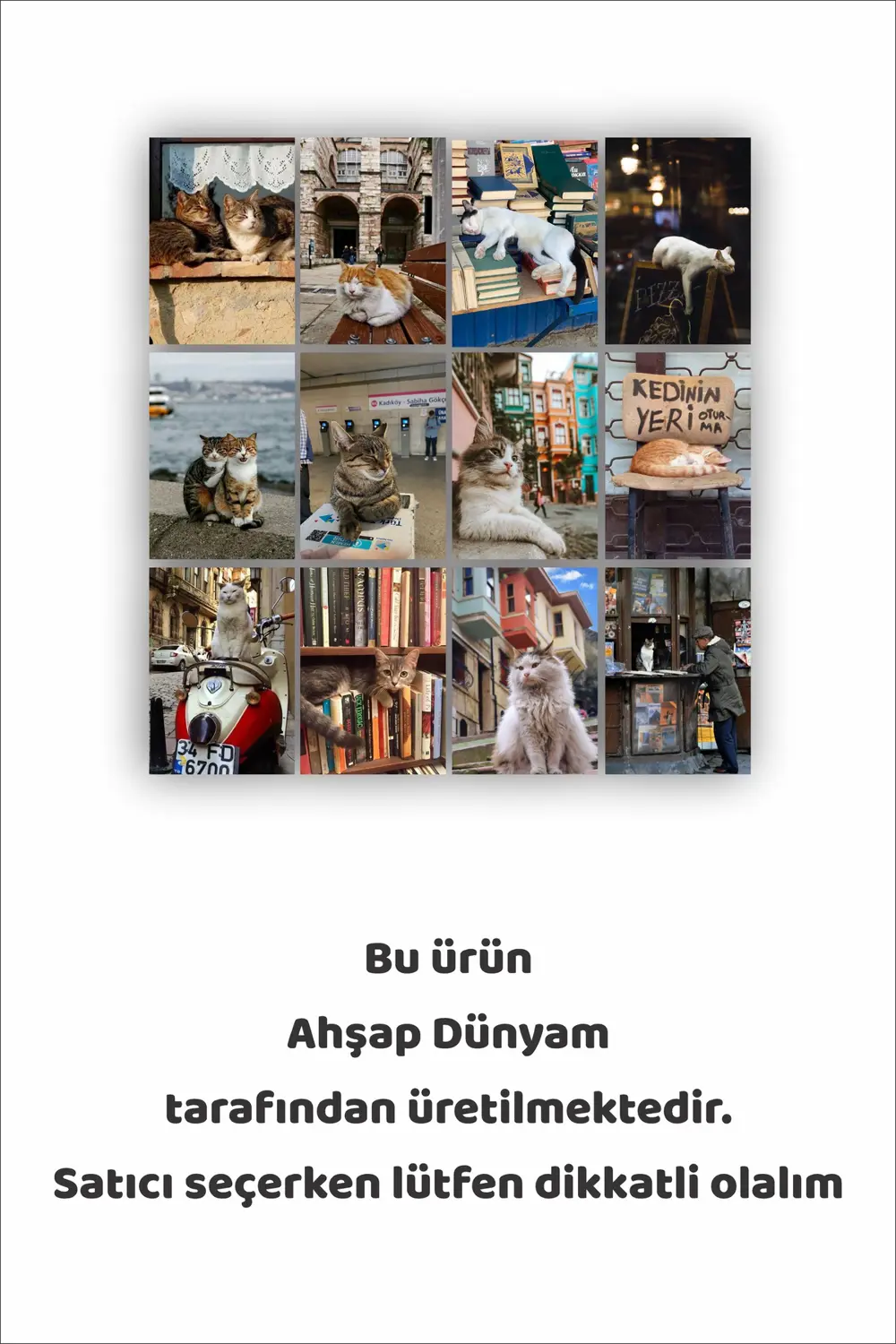 12 parça Sokak Kedisi Resimleri Çerçeve Görünümlü Mdf tablo Duvar Fiyatı, Yorumları ve Özellikleri