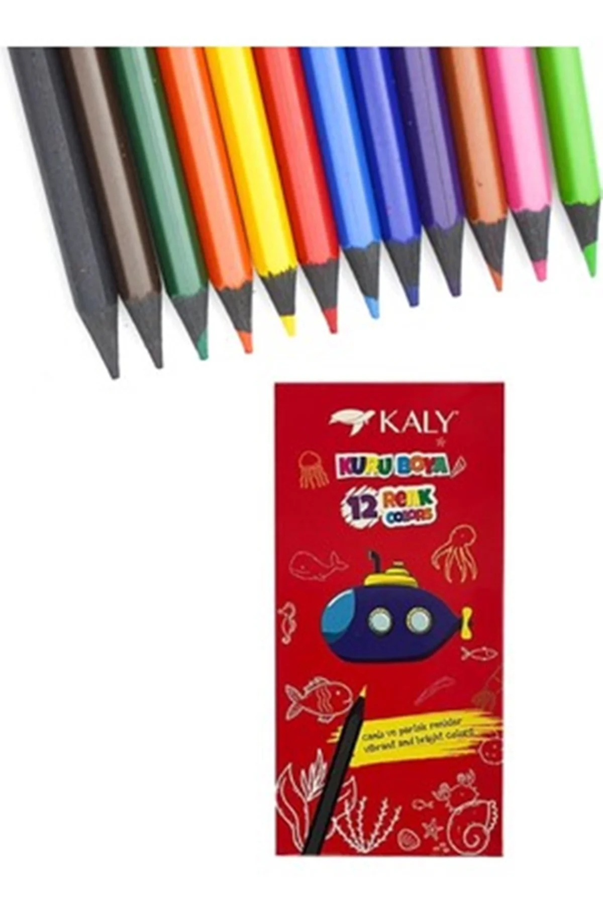 12 Renk Tam Boy Kuru Boya Seti 12 Renk Tam Boy Kuru Boya Seti