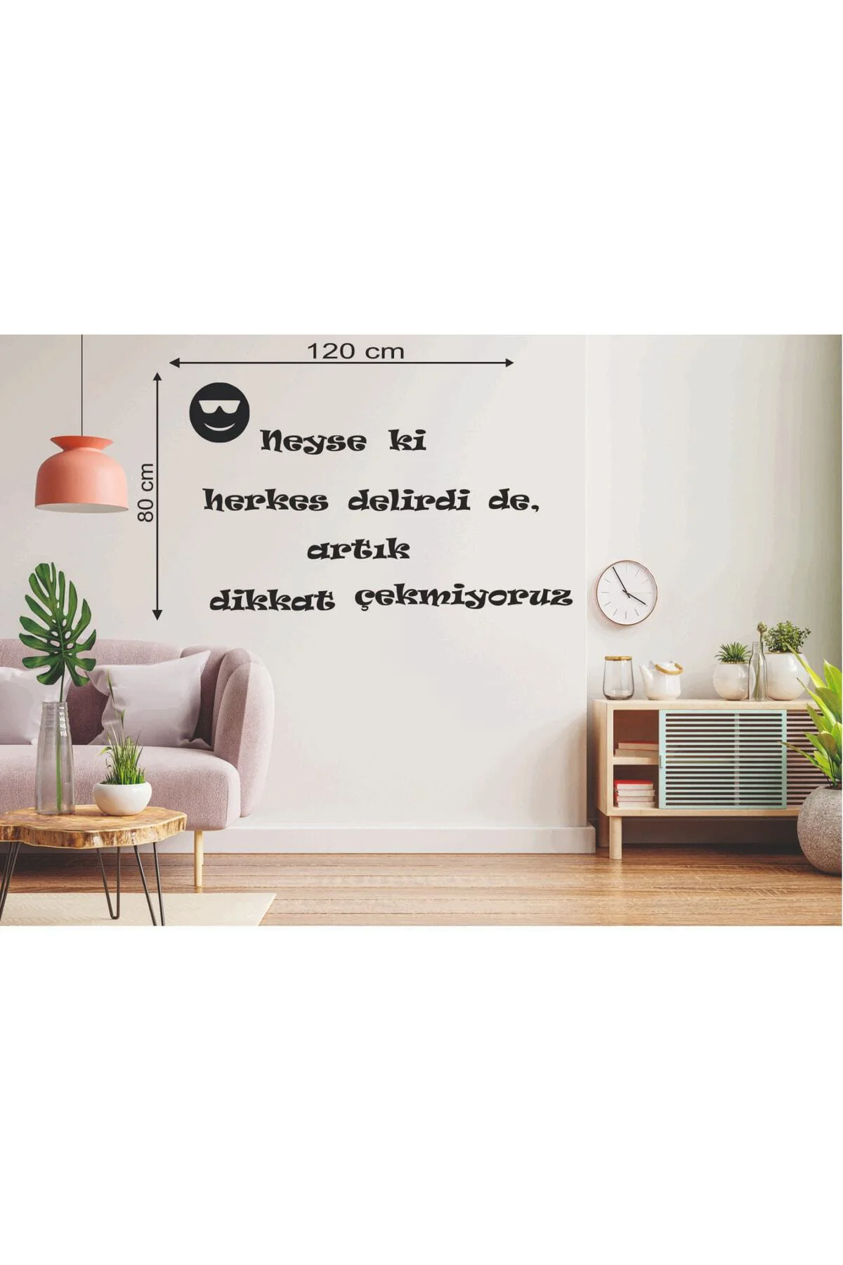 120*80 Cm Neyse Ki Herkes Delirdi De Artık Dikkat Çekmiyoruz Ahşa