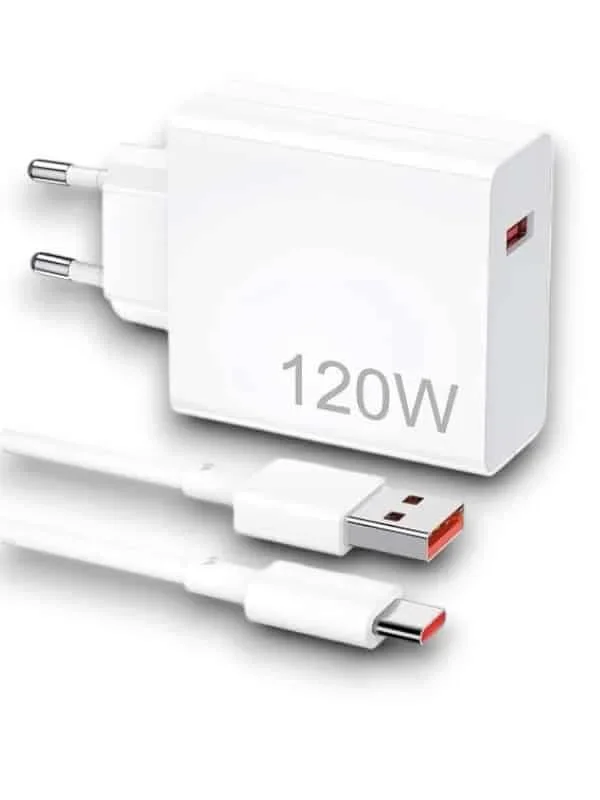 120W ŞARJ ALETİ - Lisinya