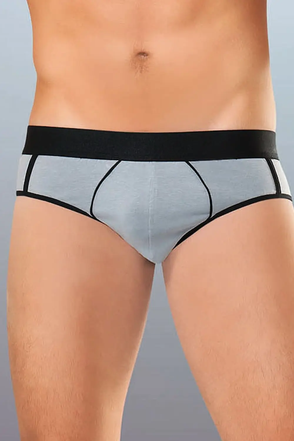 1259 Gri 3 Adet Pamuklu Erkek Slip Külot