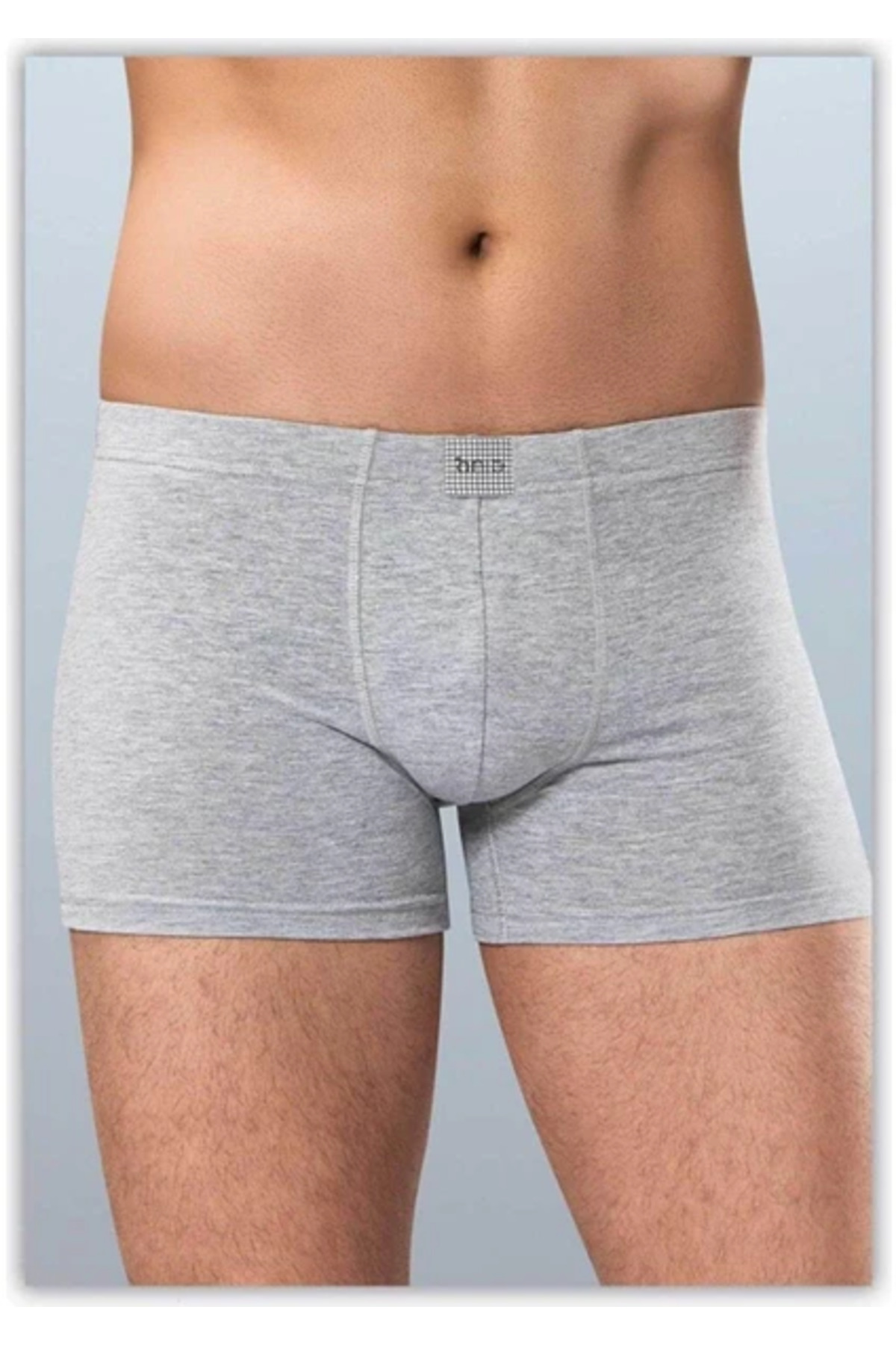 1271 Boxer