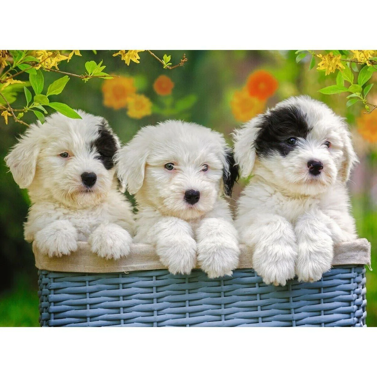 127658 Cuddly Puppies 200 parça XXL Rensburger Puzzle