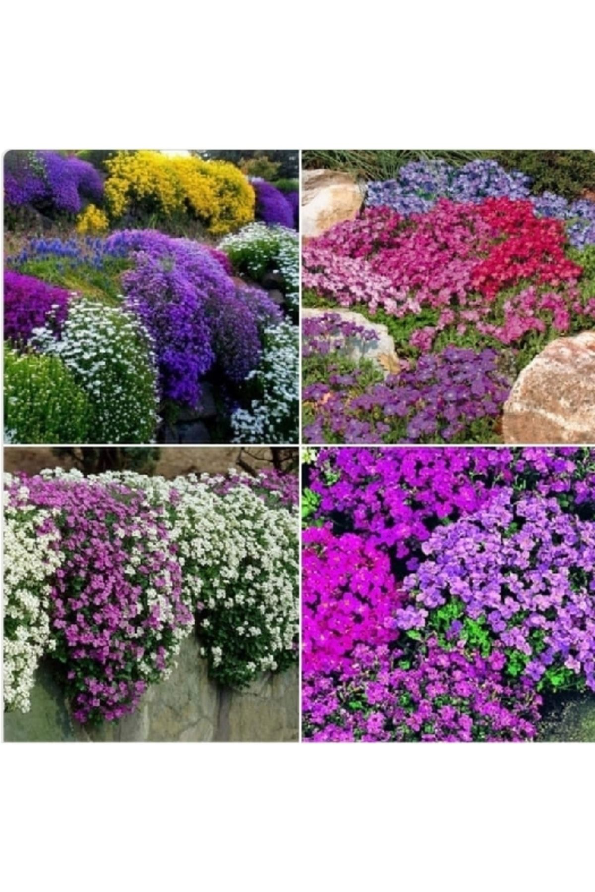 Tohumgübre 13 Litre Çiçekli Bitkiler İçin Özel Toprak (Özel Torf)