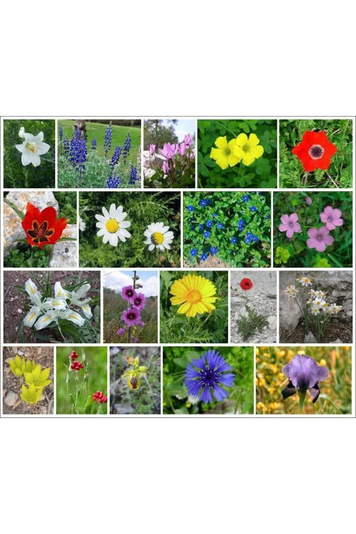 Doğal 13 Litre Çiçekli Bitkiler İçin Özel Torf