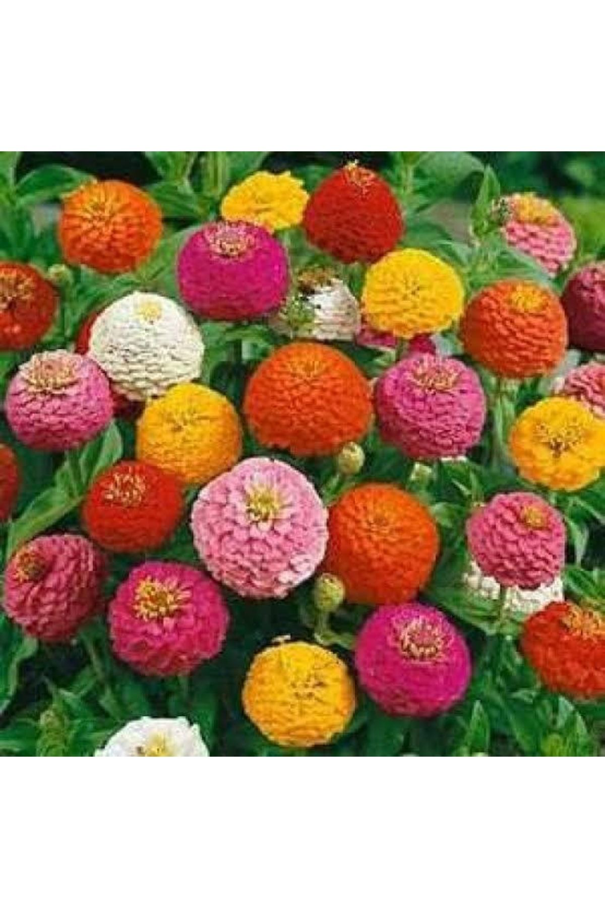 Doğal 13 Litre Çiçekli Bitkiler İçin Özel Torf