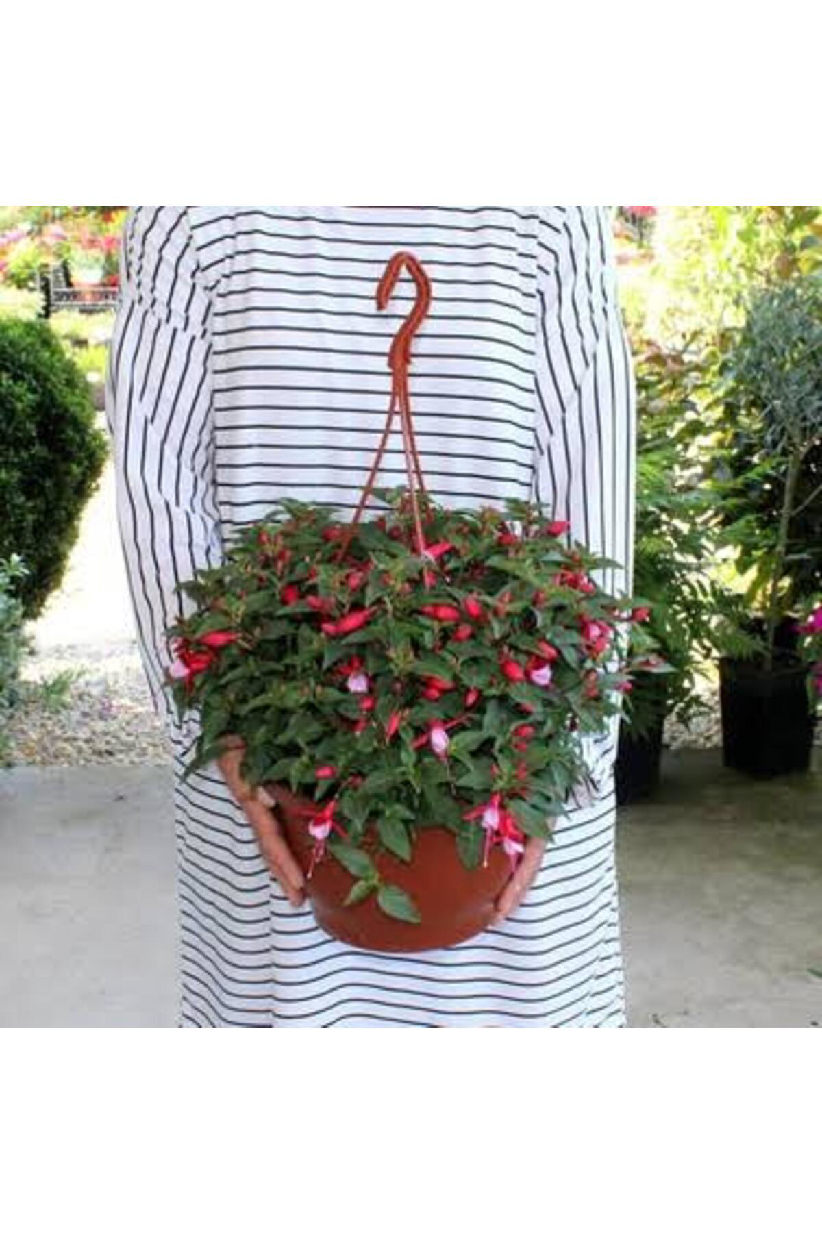 Tarımsal Ve Hayvansal Ürünler 13 Litre Küpeli Çiçeği Ekim Ve Bakım Torfu