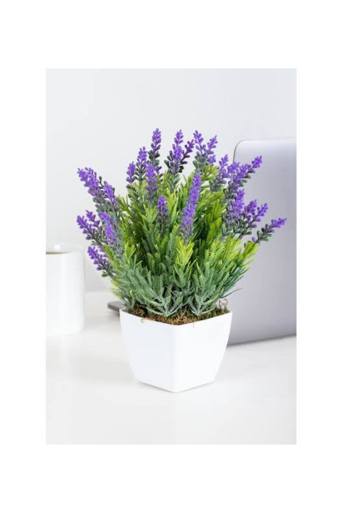 Tarımsal Ve Hayvansal Ürünler 13 Litre Lavanta Çiçeği Ekim Ve Bakım Torfu