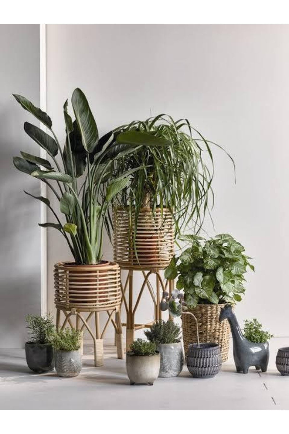 Doğal 13 Litre Salon Bitkileri İçin Özel Torf