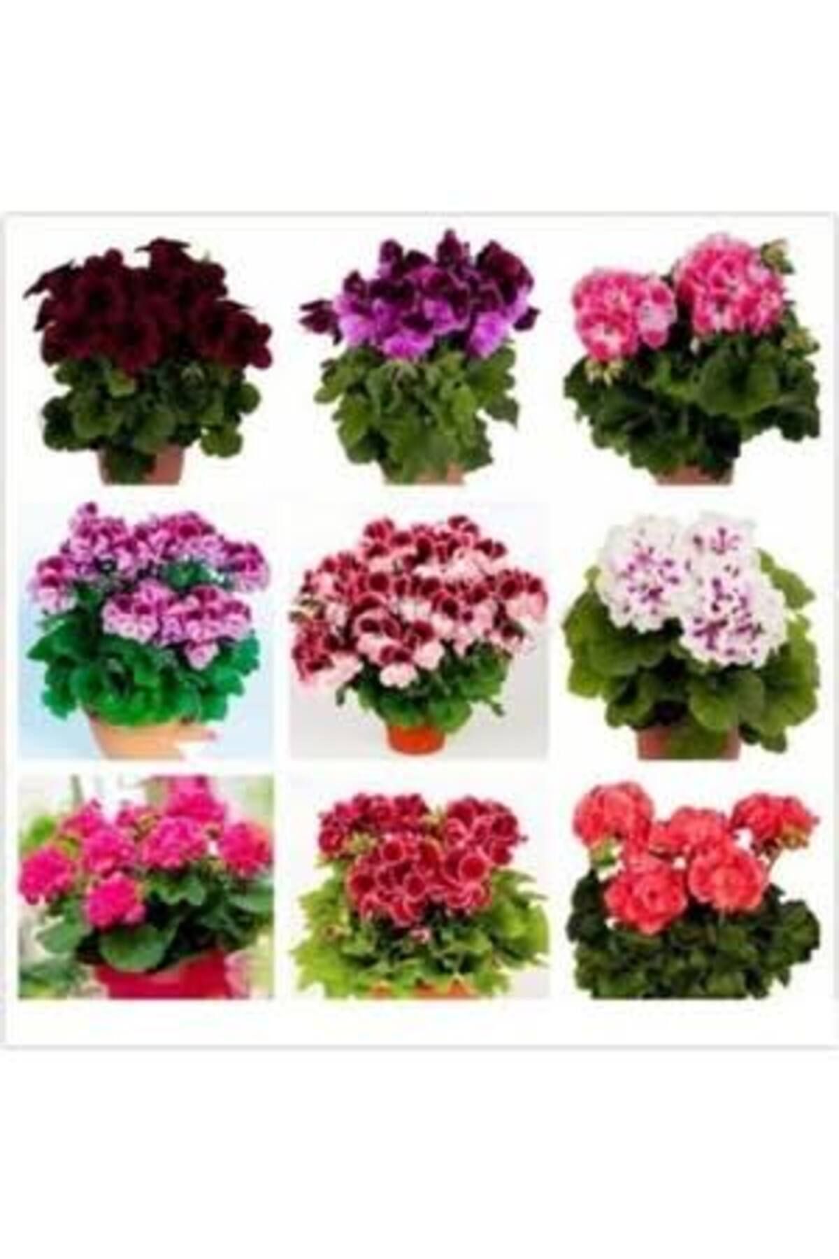 Tarımsal Ve Hayvansal Ürünler 13 Litre Sulukent Ekim Ve Bakim Torfu