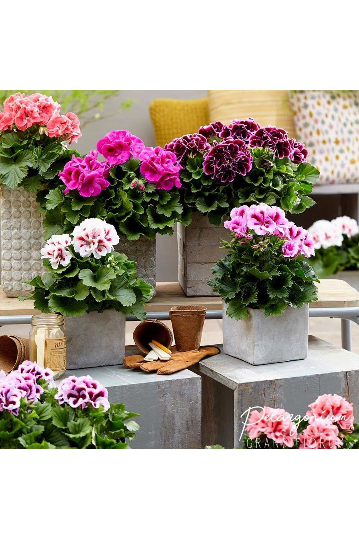 Tarımsal Ve Hayvansal Ürünler 13 Litre Sulukent Ekim Ve Bakim Torfu