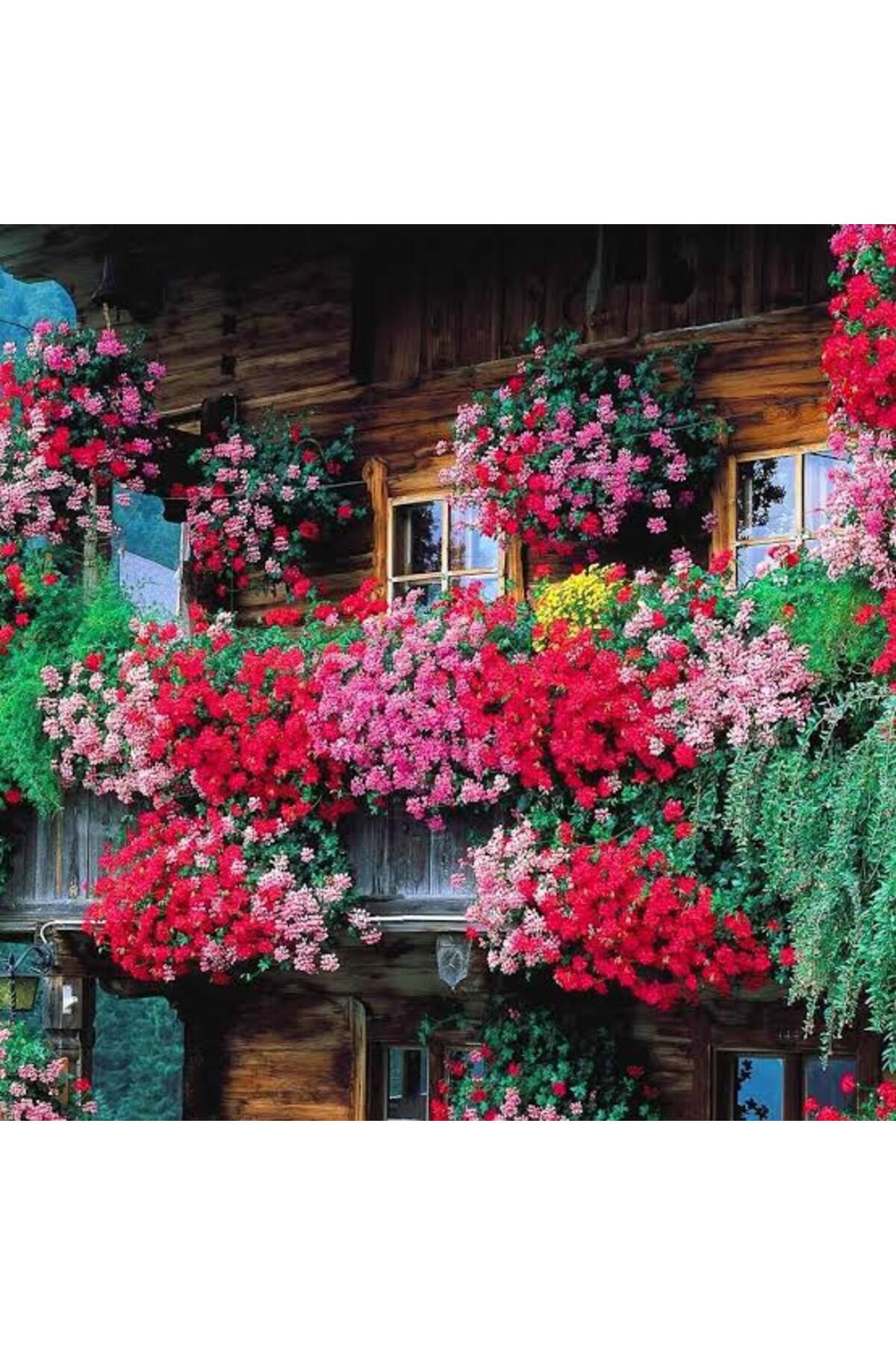 Tarımsal Ve Hayvansal Ürünler 13 Litre Sulukent Ekim Ve Bakim Torfu