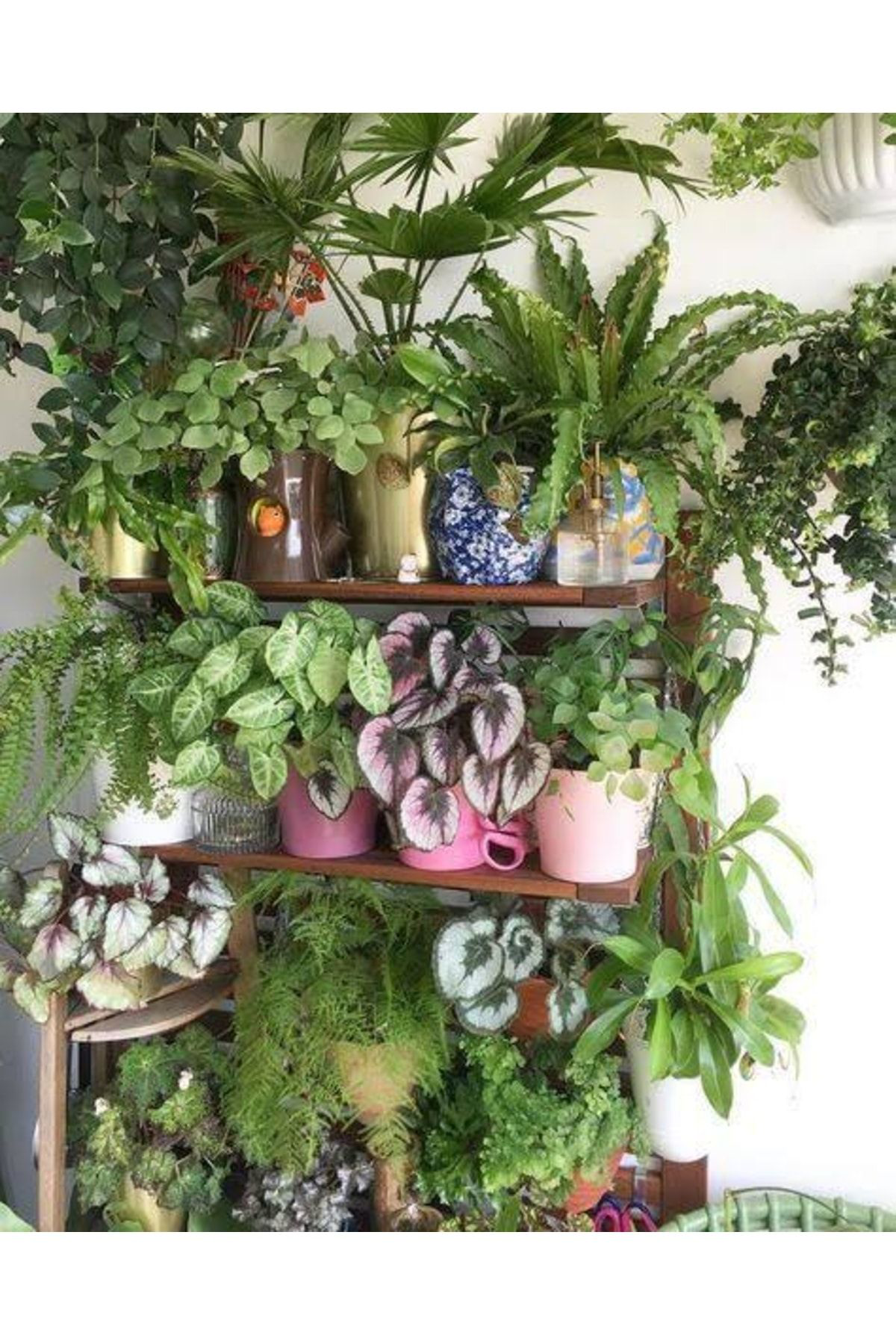 Doğal 13 Litre Yeşil Yapraklı Bitkiler İçin Özel Torf