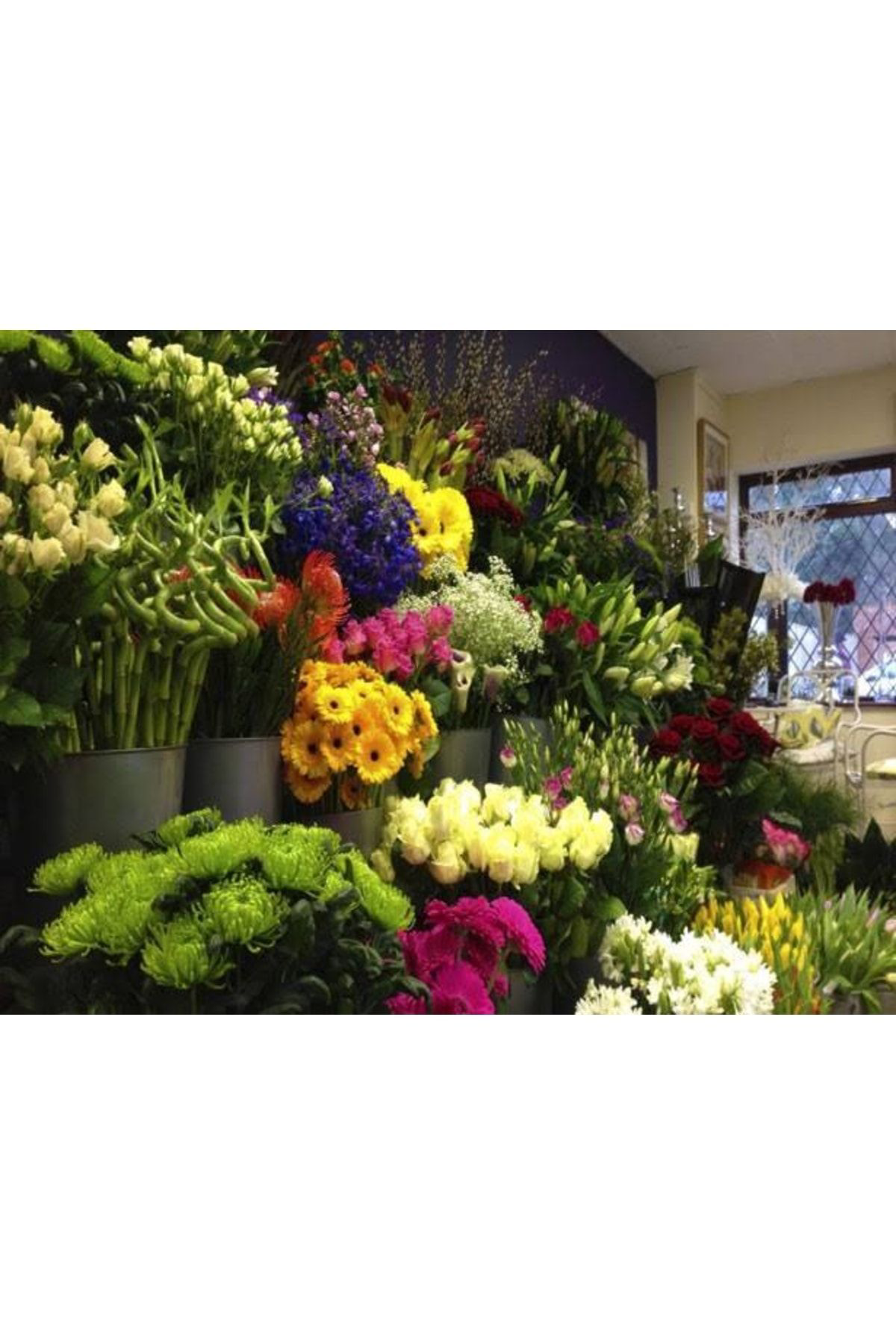 Doğal 13 Litre Yeşil Yapraklı Ve Çiçekli Bitkiler İçin Özel Torf