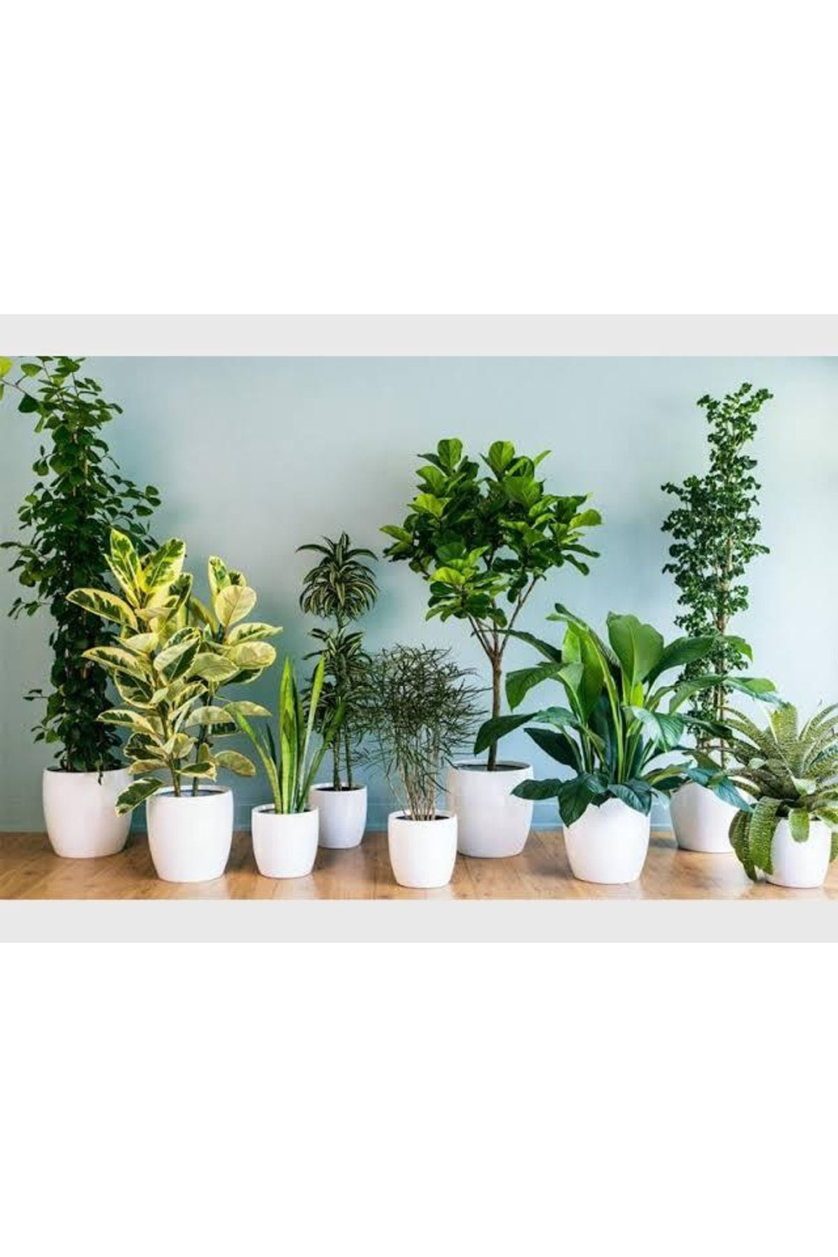 Doğal 13 Litre Yeşil Yapraklı Bitkiler İçin Özel Torf