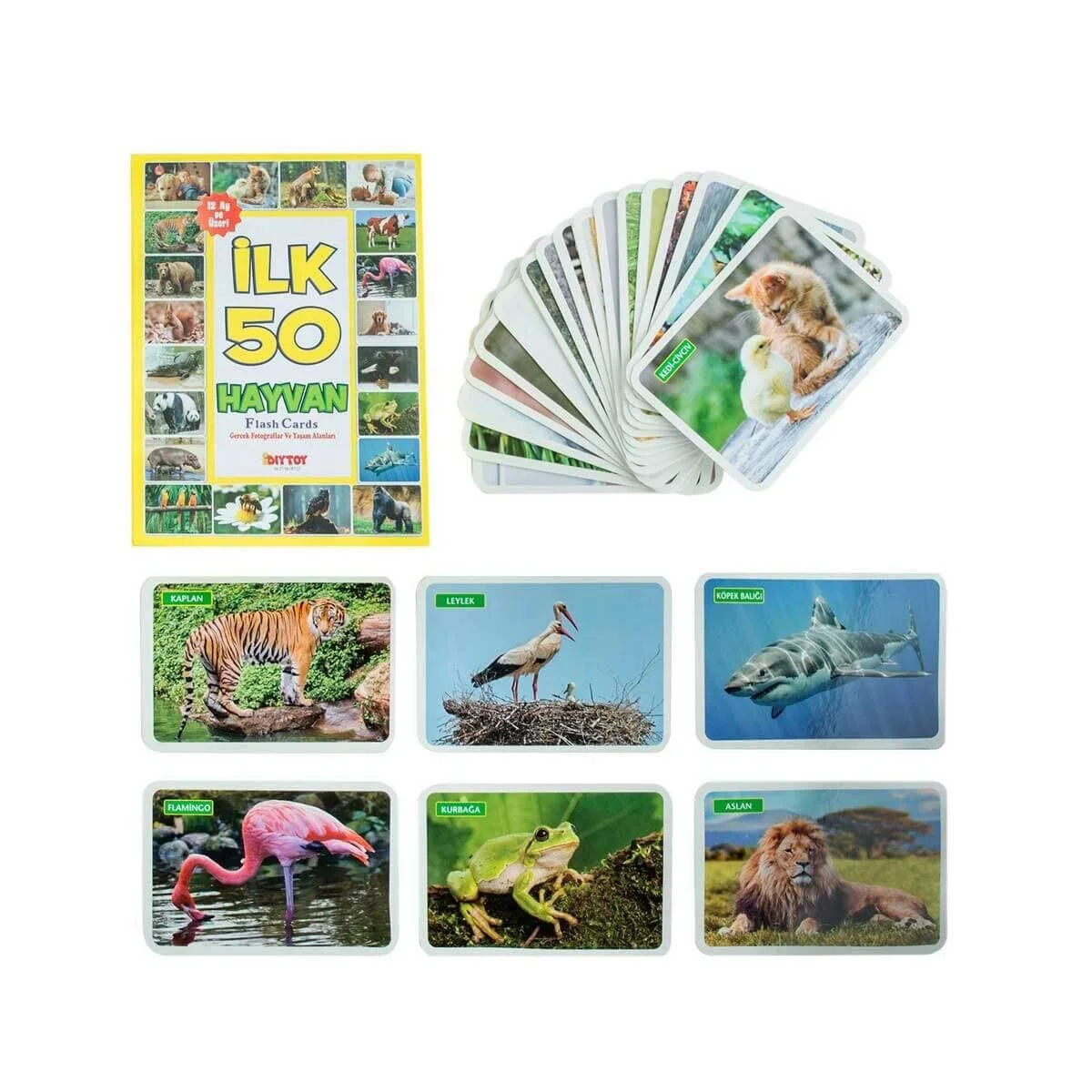 1352 F.CARDS İLK 50 HAYVAN Fiyatı, Yorumları ve Özellikleri