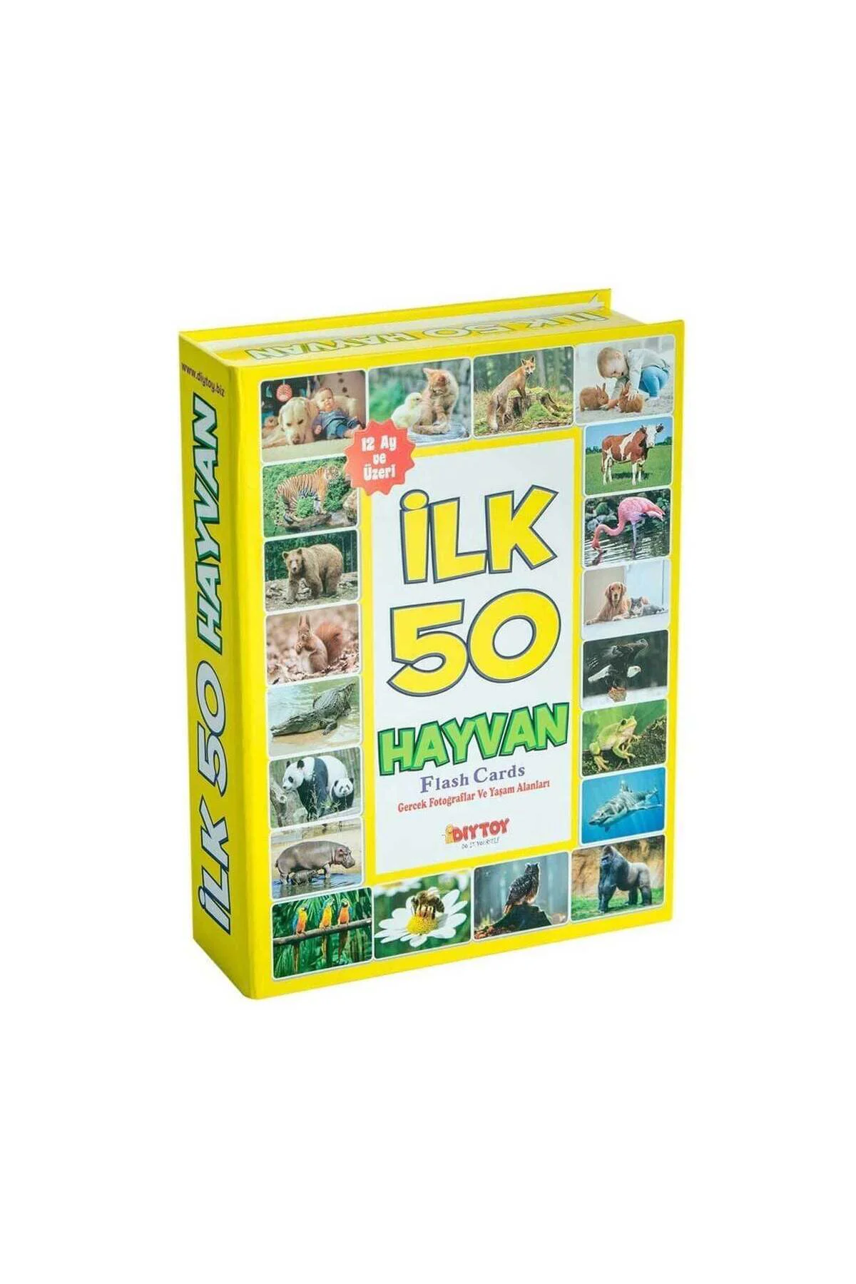 1352 F.cards İlk 50 Hayvan
