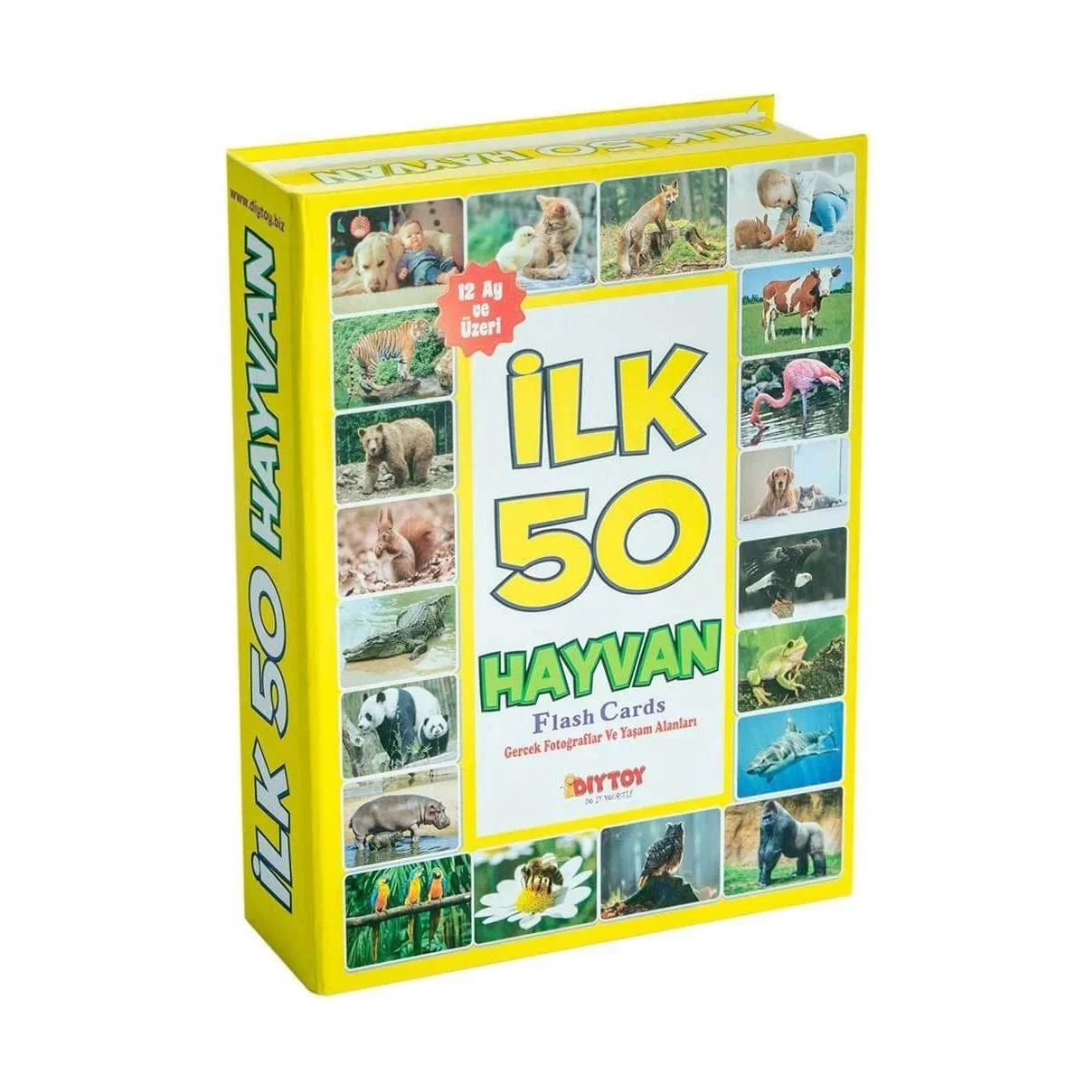 1352 Flash Cards İlk 50 Hayvan