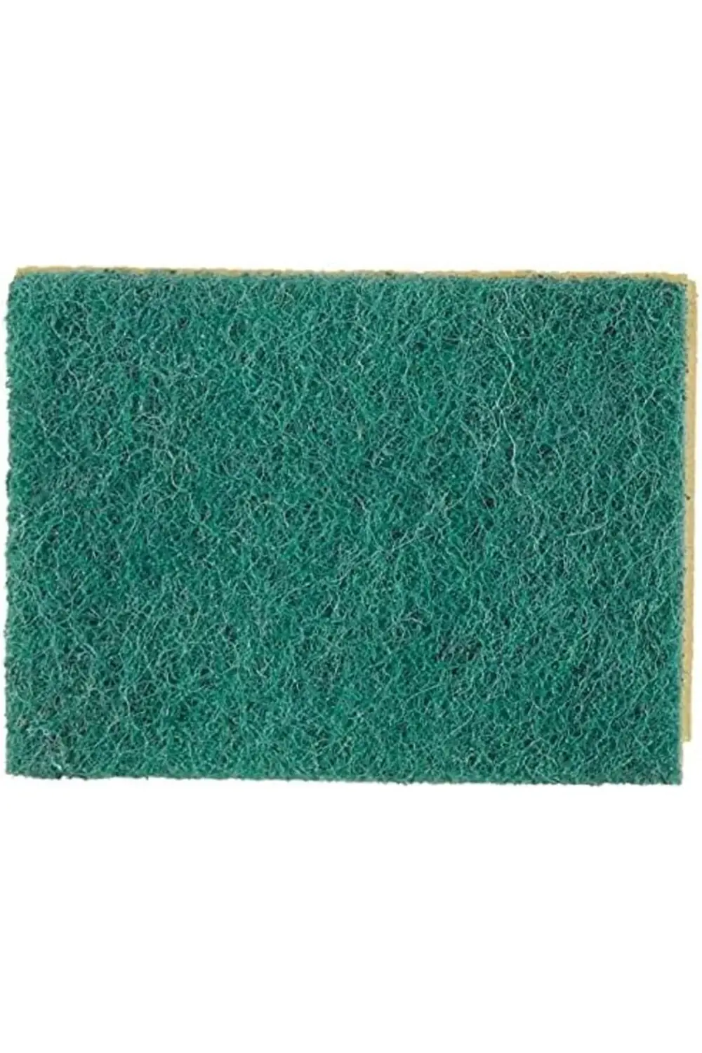 141127 Oluklu Bulaşık Süngeri, Yeşil, 8 Parça 1194891