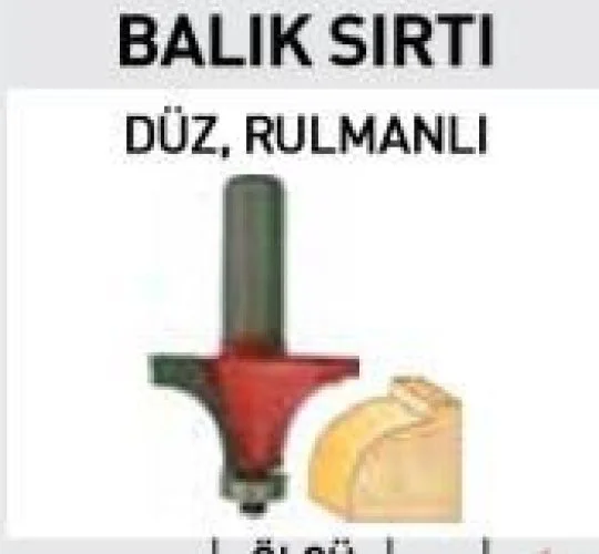 14451 Balıksırtı Freze Bıçağı 12 mm  R5