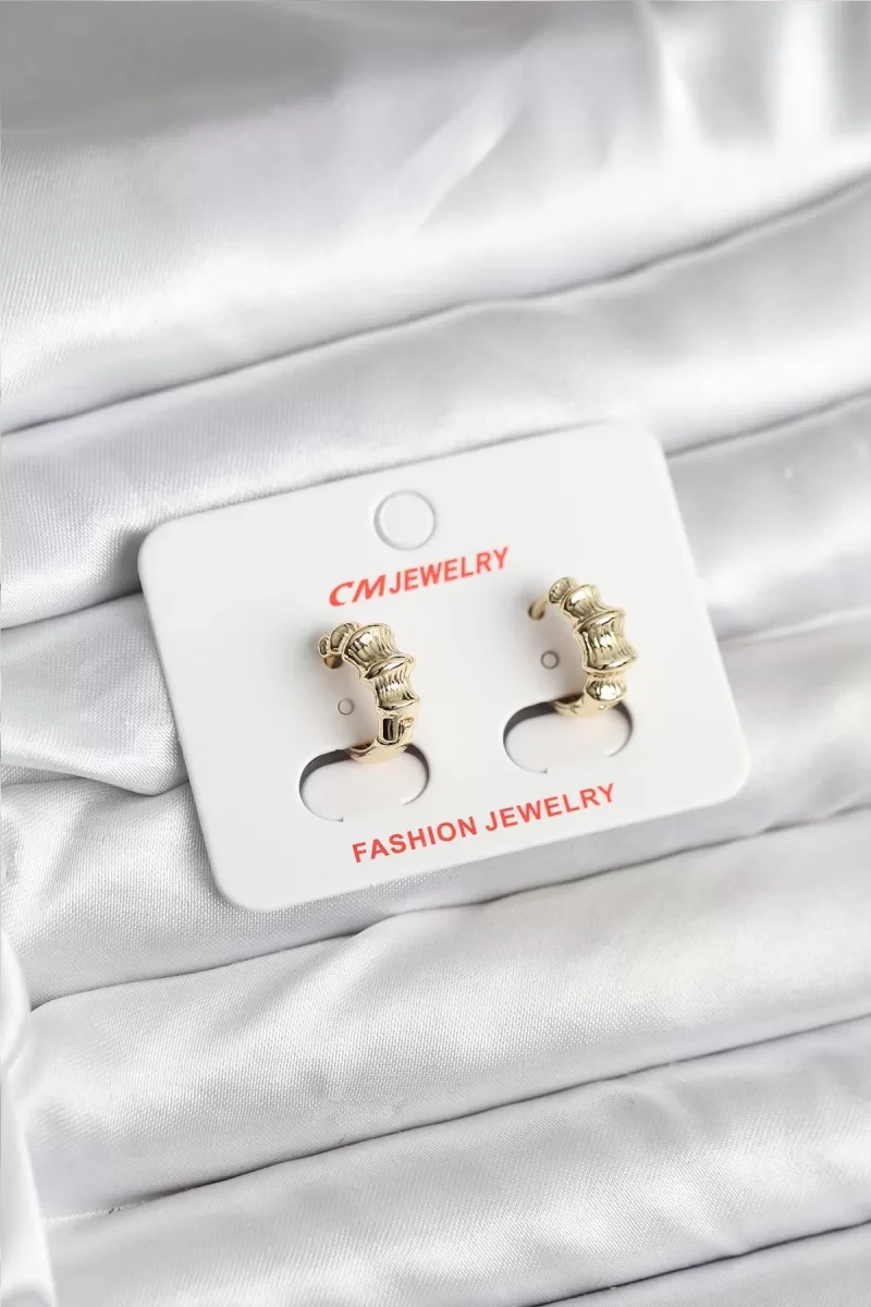 14K Gold Renk Kaplama CM Kadın Küpe - Lisinya