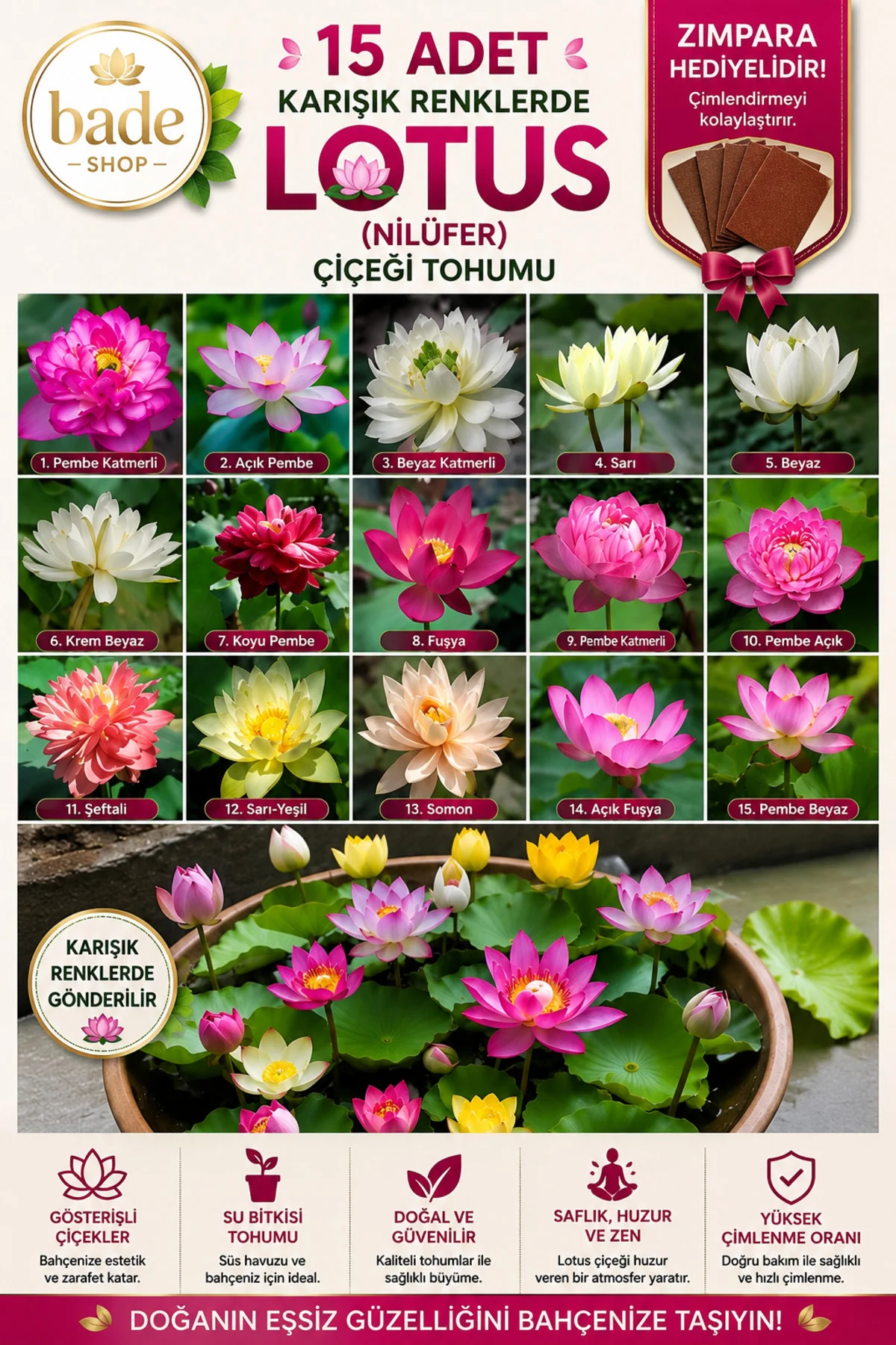 15 Adet Karışık Lotus (Nilüfer) Çiçeği Tohumu – Japon Su Zambağı – Kase Lotus – Çimlendirme Zımparası Hediyeli