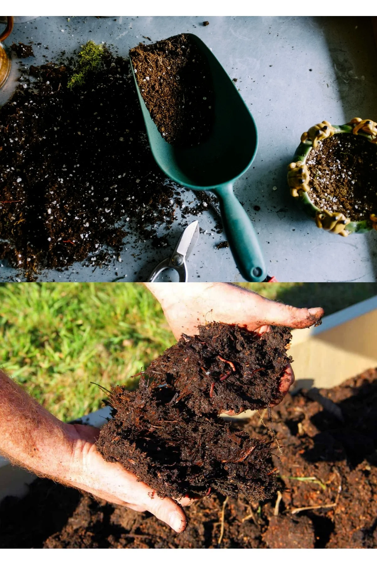 15 litre Bonsai Toprağı %100 Organik ve Katkısız Torf 17 Bitkinin